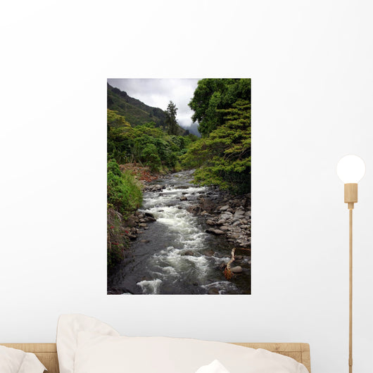  iao valley stream, hawaii Wall Mural