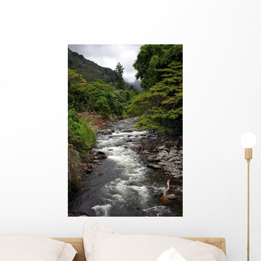  iao valley stream, hawaii Wall Mural