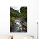  iao valley stream, hawaii Wall Mural