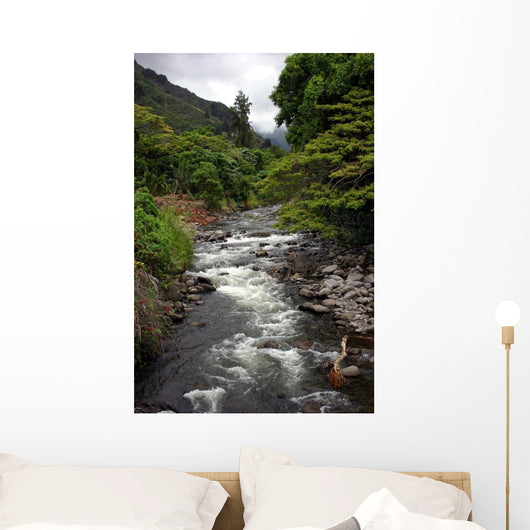  iao valley stream, hawaii Wall Mural