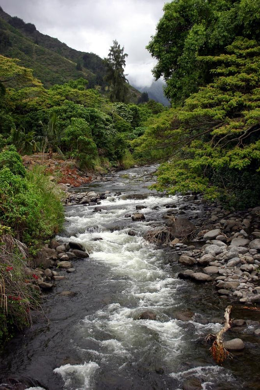  iao valley stream, hawaii Wall Mural