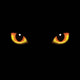 Cat Eyes 