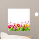 Colourful spring tulips on a white background 