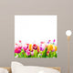 Colourful spring tulips on a white background 