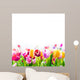 Colourful spring tulips on a white background 