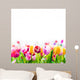 Colourful spring tulips on a white background 