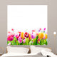 Colourful spring tulips on a white background 