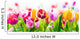 Colourful spring tulips on a white background 