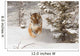 Siberian Tiger running in snow 