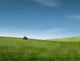 Mowing Lawn Wall Decal