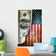 Money and flag Wall Mural
