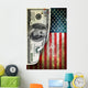 Money and flag Wall Mural