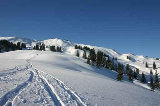 Winter Landscape 3 Wall Decal