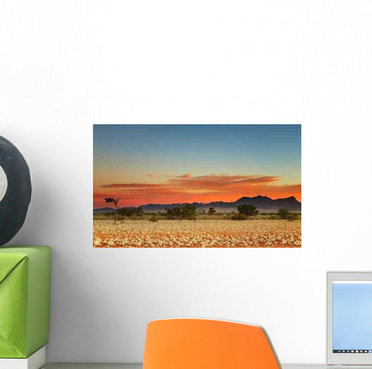 Colorful Sunset Kalahari Desert Wall Decal