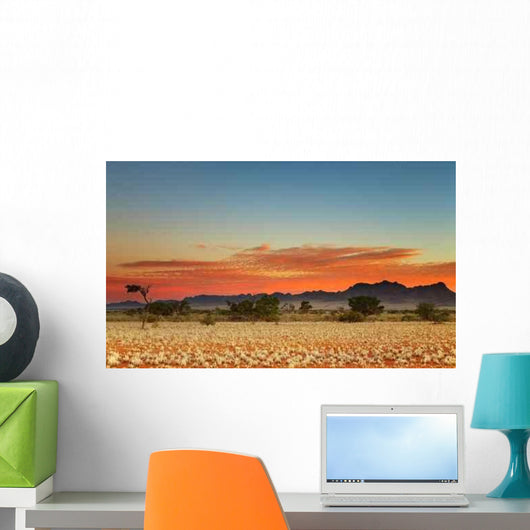 Colorful Sunset Kalahari Desert Wall Decal