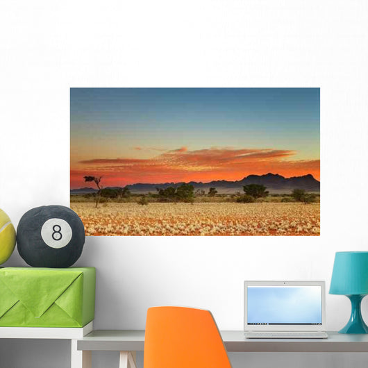 Colorful Sunset Kalahari Desert Wall Decal