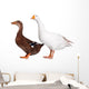 Duck and Goose Wall Decal