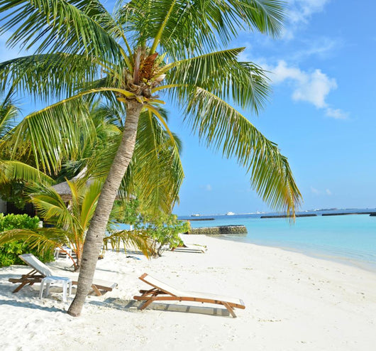 relaxing on the beautiful beach 