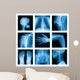 Collage of many X-rays in very good quality. 