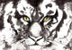 Tiger Wall Decal Design 1