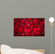 Red roses background Wall Mural