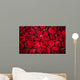 Red roses background Wall Mural