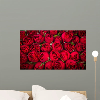 Red Roses Wall Mural shown on a wall