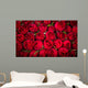Red roses background Wall Mural