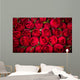 Red roses background Wall Mural