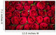 Red roses background Wall Mural
