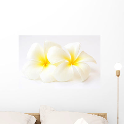 Frangipani Flowers Wall Decal shown on a wall