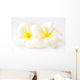 Frangipani Flowers Wall Decal