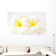 Frangipani Flowers Wall Decal
