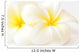 Frangipani Flowers Wall Decal