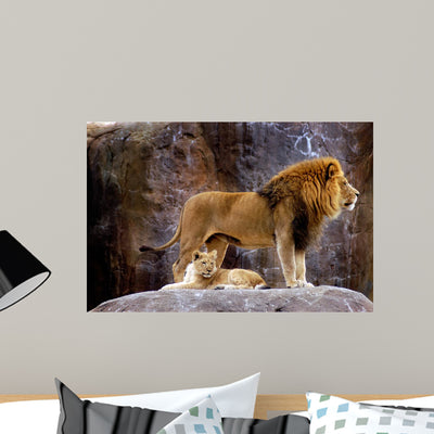 Animal African Lion Panthera Wall Decal shown on a wall