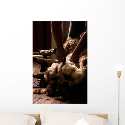 Industry Sheep Shearing Wall Mural shown on a wall
