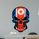 North Korea Flag Painted on Skull 