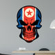 North Korea Flag Painted on Skull 