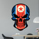 North Korea Flag Painted on Skull 