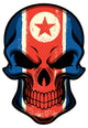 North Korea Flag Painted on Skull 