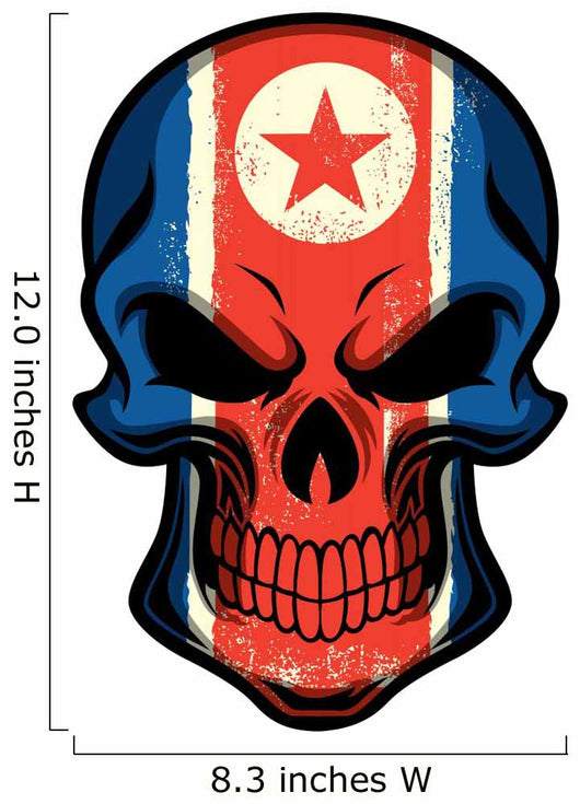 North Korea Flag Painted on Skull 