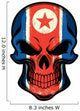 North Korea Flag Painted on Skull 