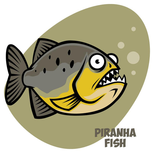 piranha fish Wall Decal