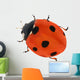 illustration with red seven ponts ladybug on white Wall Decal