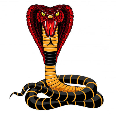 King Cobra Snake Wall Decal – Wallmonkeys