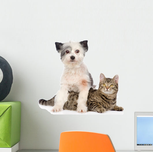 Dog and Cat Together. Isolated on White Background Wall Decal