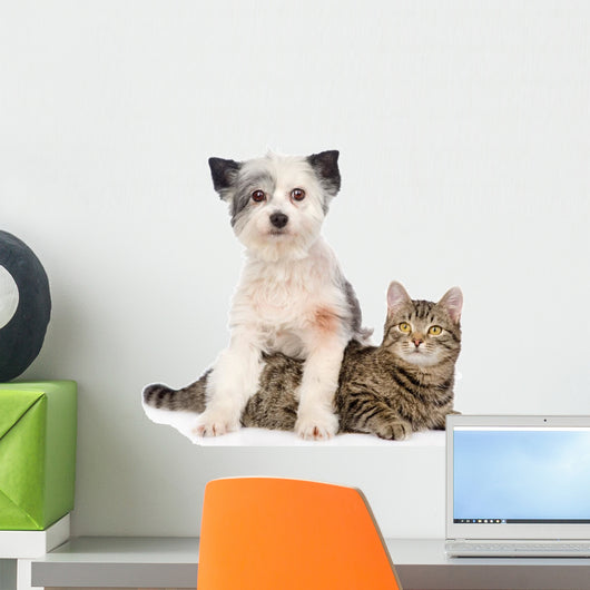 Dog and Cat Together. Isolated on White Background Wall Decal