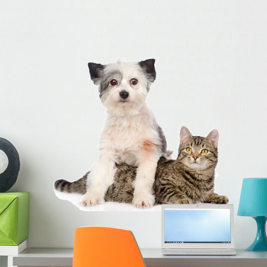 Dog and Cat Together. Isolated on White Background Wall Decal
