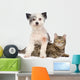 Dog and Cat Together. Isolated on White Background Wall Decal