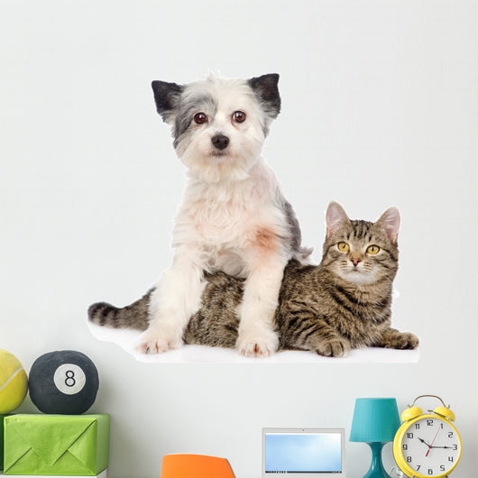 Dog and Cat Together. Isolated on White Background Wall Decal